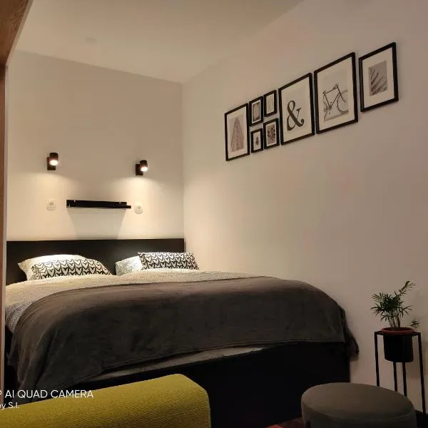 Studio apartman Cezar apartmani Borik，位于别洛瓦尔的酒店