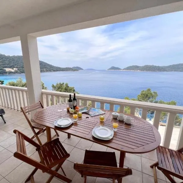 Terrace apartment with panoramic seaview，位于Ubli的酒店