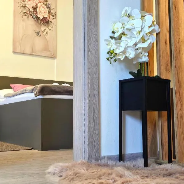 Apartman Iris，位于卡尔洛瓦茨的酒店