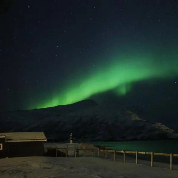Cozy cabin by the sea，位于特罗姆瑟的酒店
