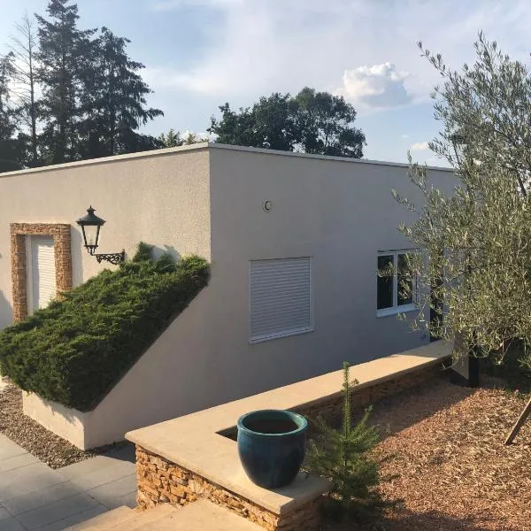 Logement cadre Champêtre, entre ville et campagne，位于Commelle-Vernay的酒店