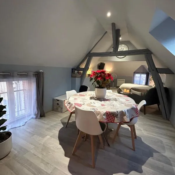 Studio centre ville，位于罗莫朗坦的酒店