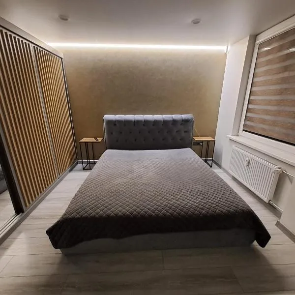 Kėdainiai Alinos Apartamentai，位于凯代尼艾的酒店