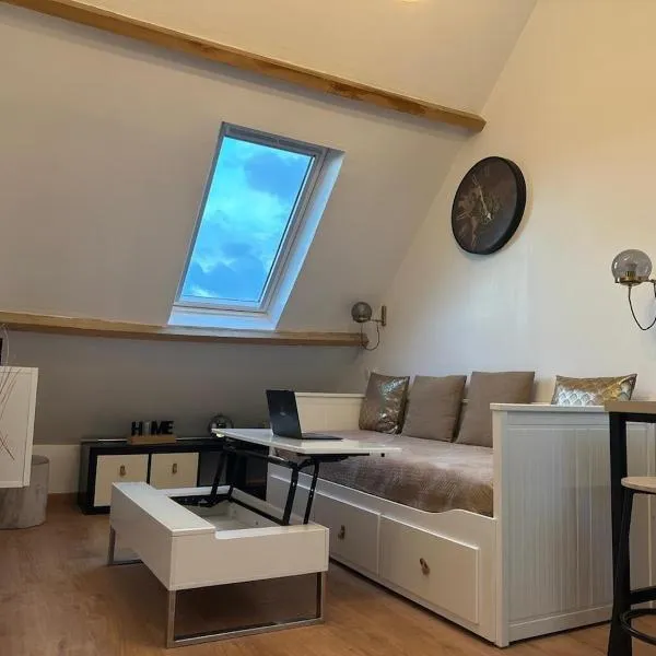 Studio Airport CDG - Asterix - Parc des Expo，位于Louvres的酒店