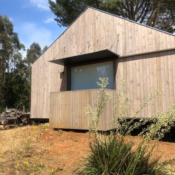 Alojamiento y Desayuno Privado de Lujo C1，位于布卡莱穆的酒店