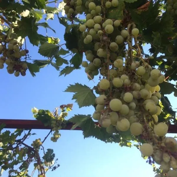 Casita Azul Homestay，位于Cáseda的酒店