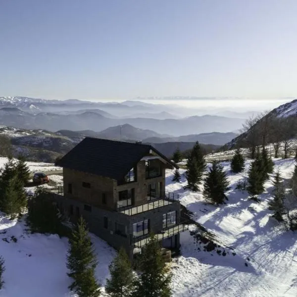 Chalet 1600 Kopaonik，位于科帕奥尼克的酒店