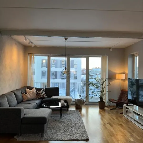 Spacious apartment with a great view and parking，位于特隆赫姆的酒店