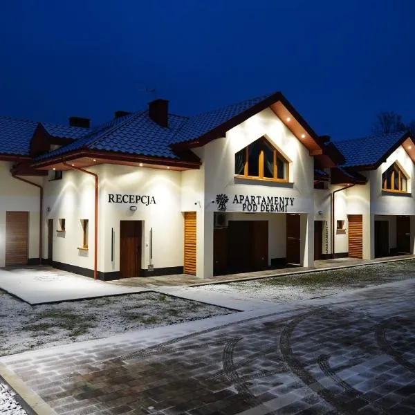 Apartamenty pod Dębami - noclegi Beskid Niski，位于Odrzechowa的酒店