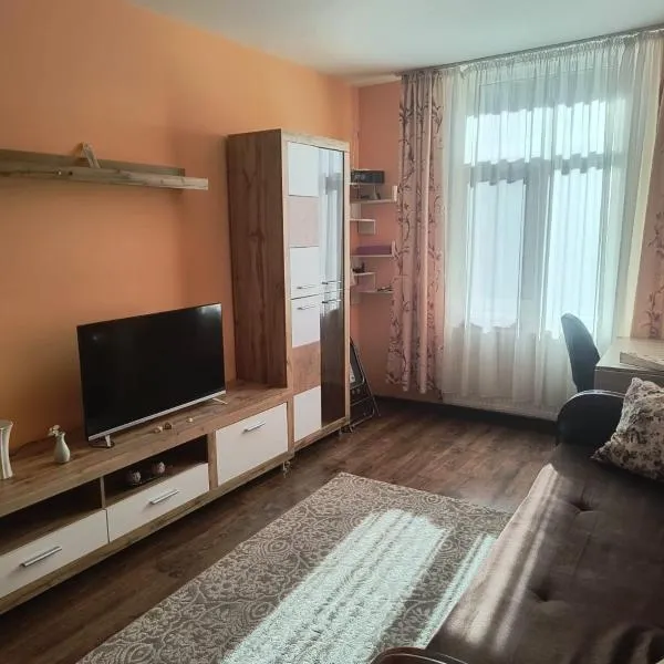 Apartament Gabriela，位于Vulcan的酒店