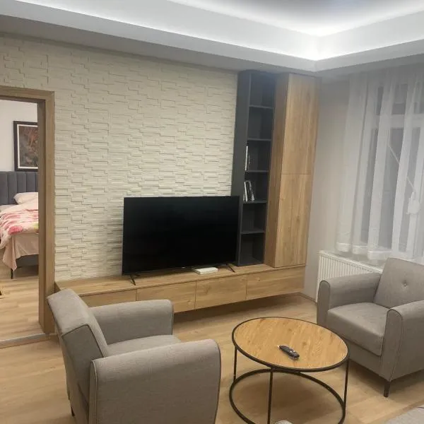 Apartman Dasha，位于布尔泽策的酒店