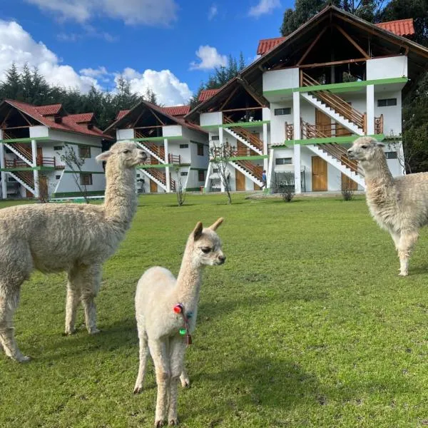 RESORT ALAPA，位于万卡约的酒店