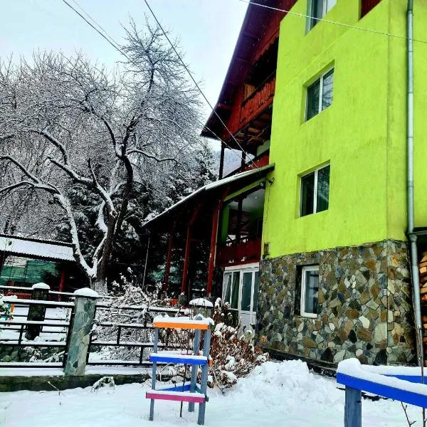 Vila Giulia Voineasa，位于沃伊内亚萨的酒店