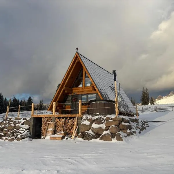 A mon Chalet，位于Vărşag的酒店