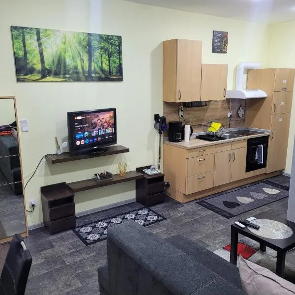Wohnung in Elz，位于Elz的酒店