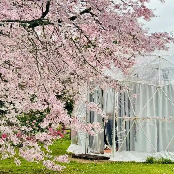 Flowerhaven - glamping dome,位于汉密尔顿的酒店