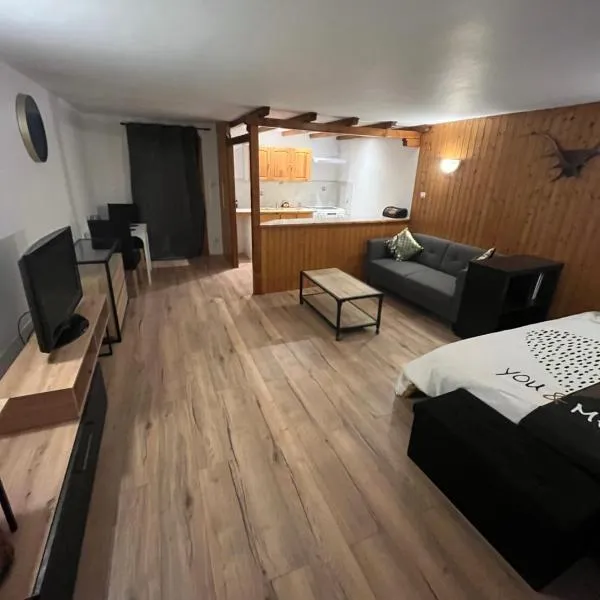 Charmant studio，位于萨里斯的酒店