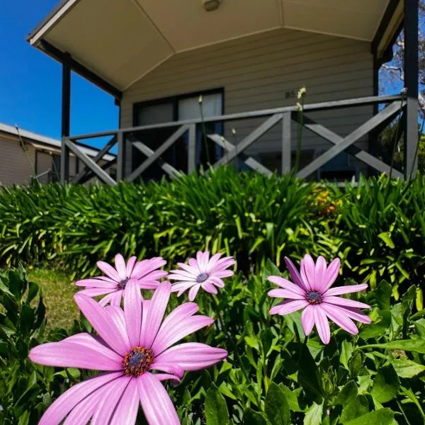 Eaglehawk Park Canberra，位于堪培拉的酒店