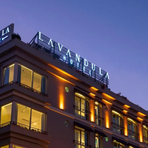 Levent Lavandula Hotel，位于伊斯坦布尔的酒店