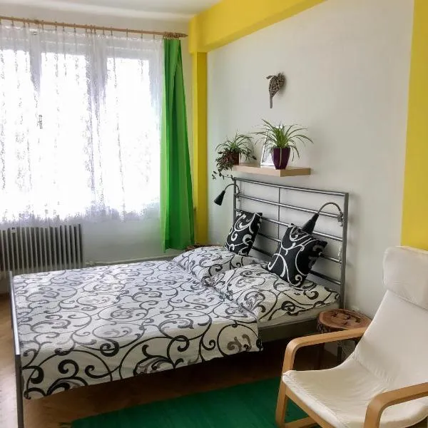 Apartmán B Luhačovice，位于鲁哈科维斯的酒店