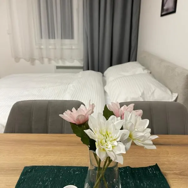 FlyInn Residence，位于贝尔格莱德的酒店