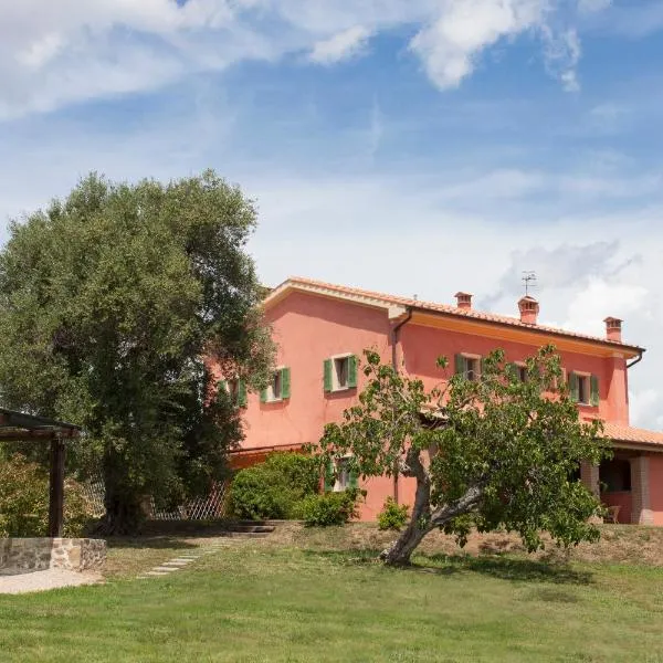 Agriturismo Bio Podere Doganelle，位于Giuncarico的酒店