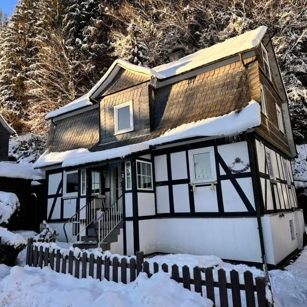 Waldtraum Lodge Winterberg für 10 Personen mit Garten und Grill，位于温特贝格的酒店