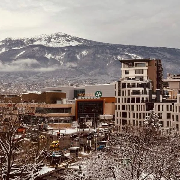 Spacious apartment with a Mountain view, big balcony and parking，位于索非亚的酒店