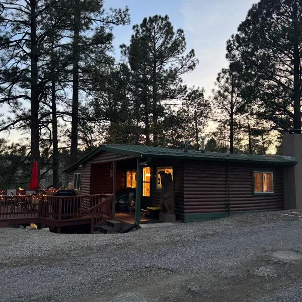 Gonzales Cozy Little Bear Cabin，位于鲁伊多索的酒店