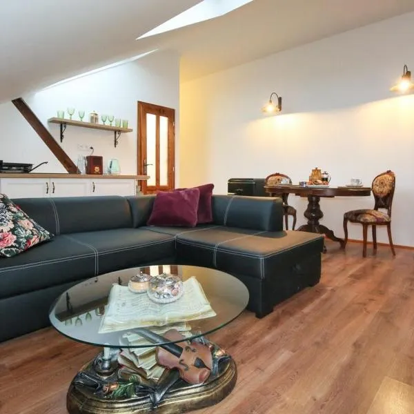 Apartmán Maximilián，位于斯提亚夫尼茲科巴內的酒店