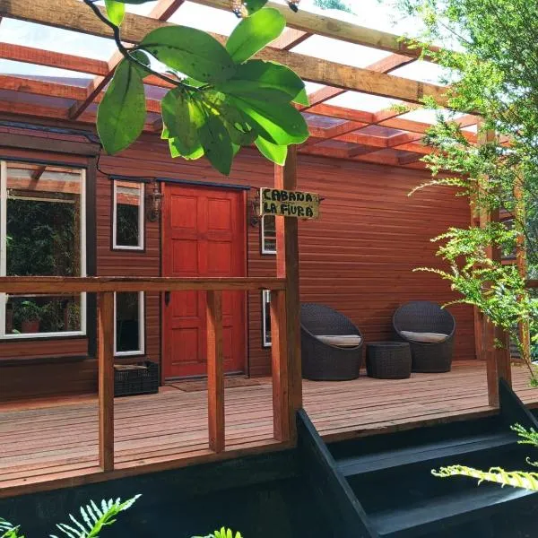 El Urco Chiloé - Cabaña La Fiura，位于安库德的酒店