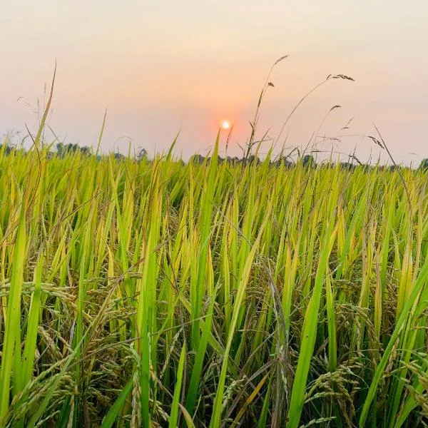 Lotus Farm Retreat，位于胡志明市的酒店