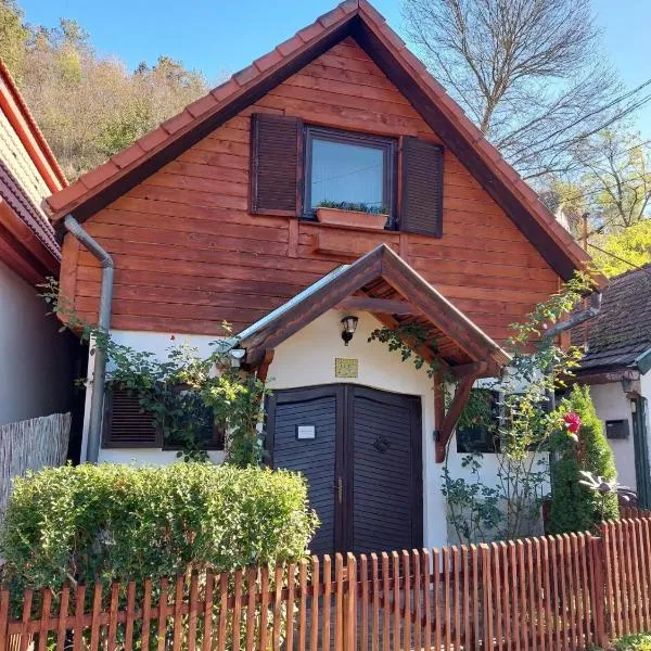 Garden Cottage Zebegény，位于泽拜盖尼的酒店
