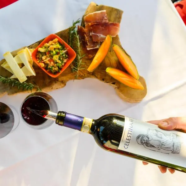 Agriturismo Pian dei Pini，位于蒙蒂亚诺的酒店