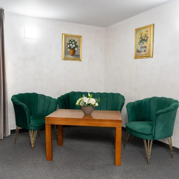 Hotel Casa de Piatra，位于Scheia的酒店