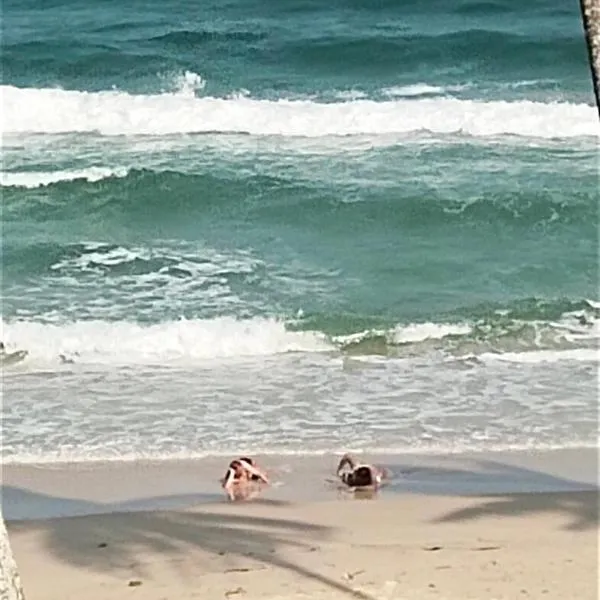 SEA VIEW BEDs บ้านบอส หาดทุ่งวัวแล่น ชุมพร，位于Ban Phru Ching (1)的酒店