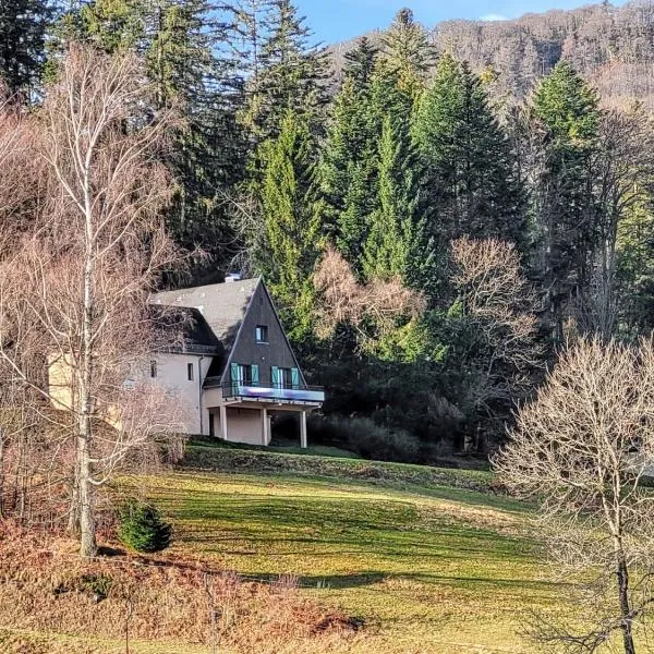 Chalet douillet avec vue panoramique à Kruth，位于克吕特的酒店