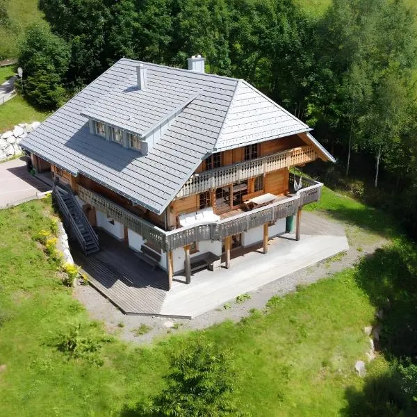 Ferienwohnung am Nettenbach，位于黑林山区贝尔瑙的酒店