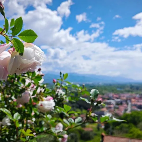 Trebiano a casa dei nonni，位于阿尔科拉的酒店