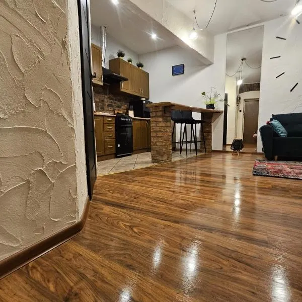 Loft，位于索斯诺维茨的酒店