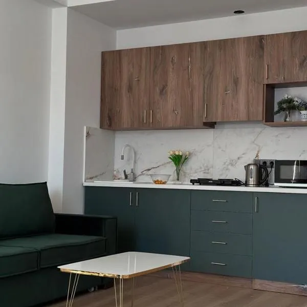 Apartment #114 Gudauri, Redco Alpic，位于古多里的酒店