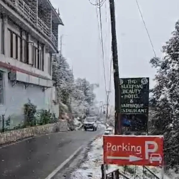 Sleeping Beauty Hotel Moutain view property，位于乔斯希马特的酒店