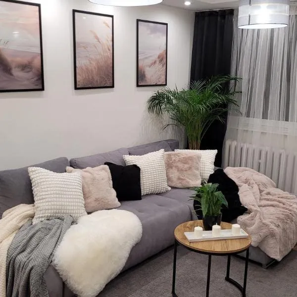 Incanto Apartament，位于格但斯克旧城的酒店