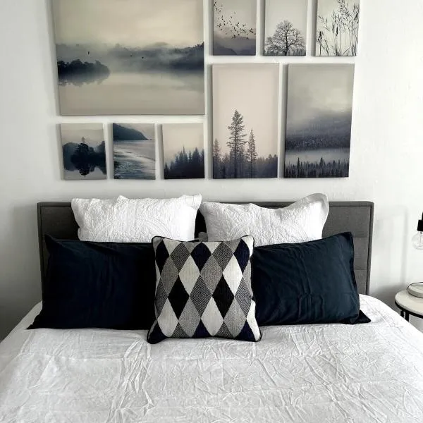 The Paddington Bathurst #8，位于巴瑟斯特的酒店