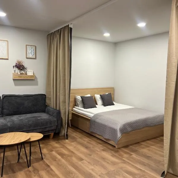 Naujoji Akmene Center Apartment，位于Naujoji Akmenė的酒店