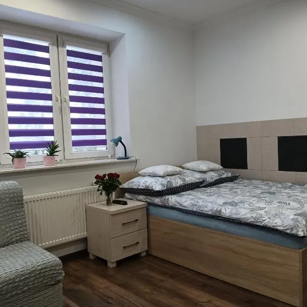 Apartament B&B，位于斯塔洛瓦沃拉的酒店