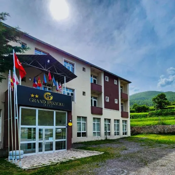 Grand İpekyolu OTEL，位于Posof的酒店