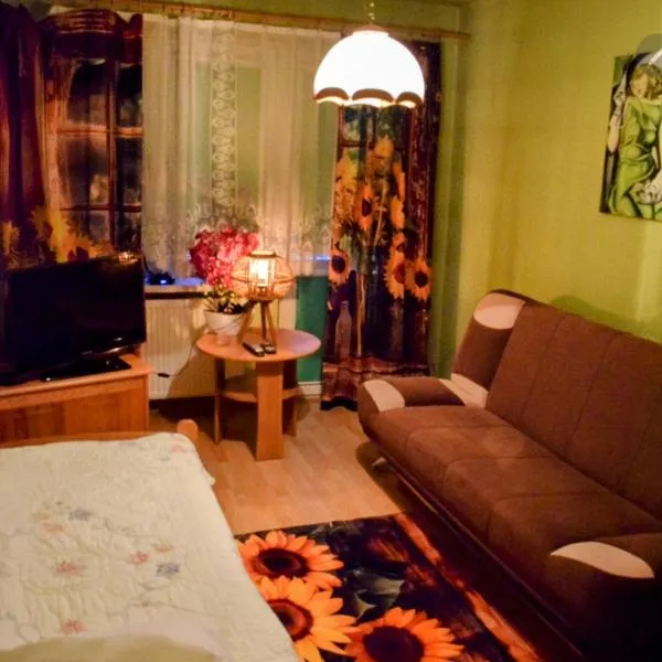 Salt Mine Apartment Bochnia by OTH，位于博赫尼亚的酒店
