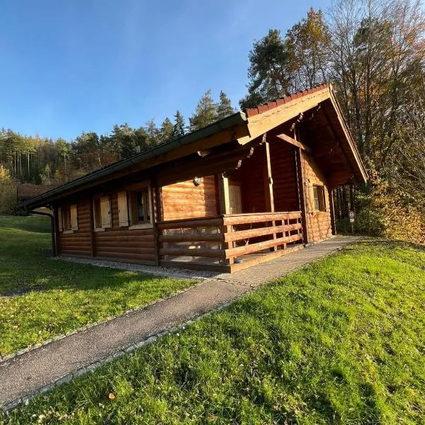 Blockhaus Holzzeit im Bayerischen Wald，位于Stamsried的酒店