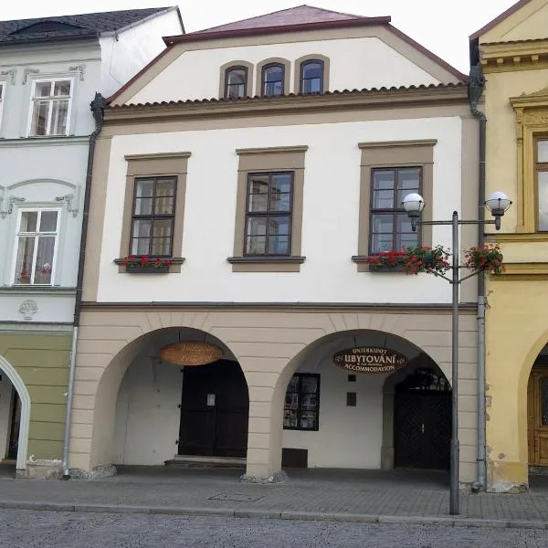 卡斯尼公寓，位于Vikletice的酒店